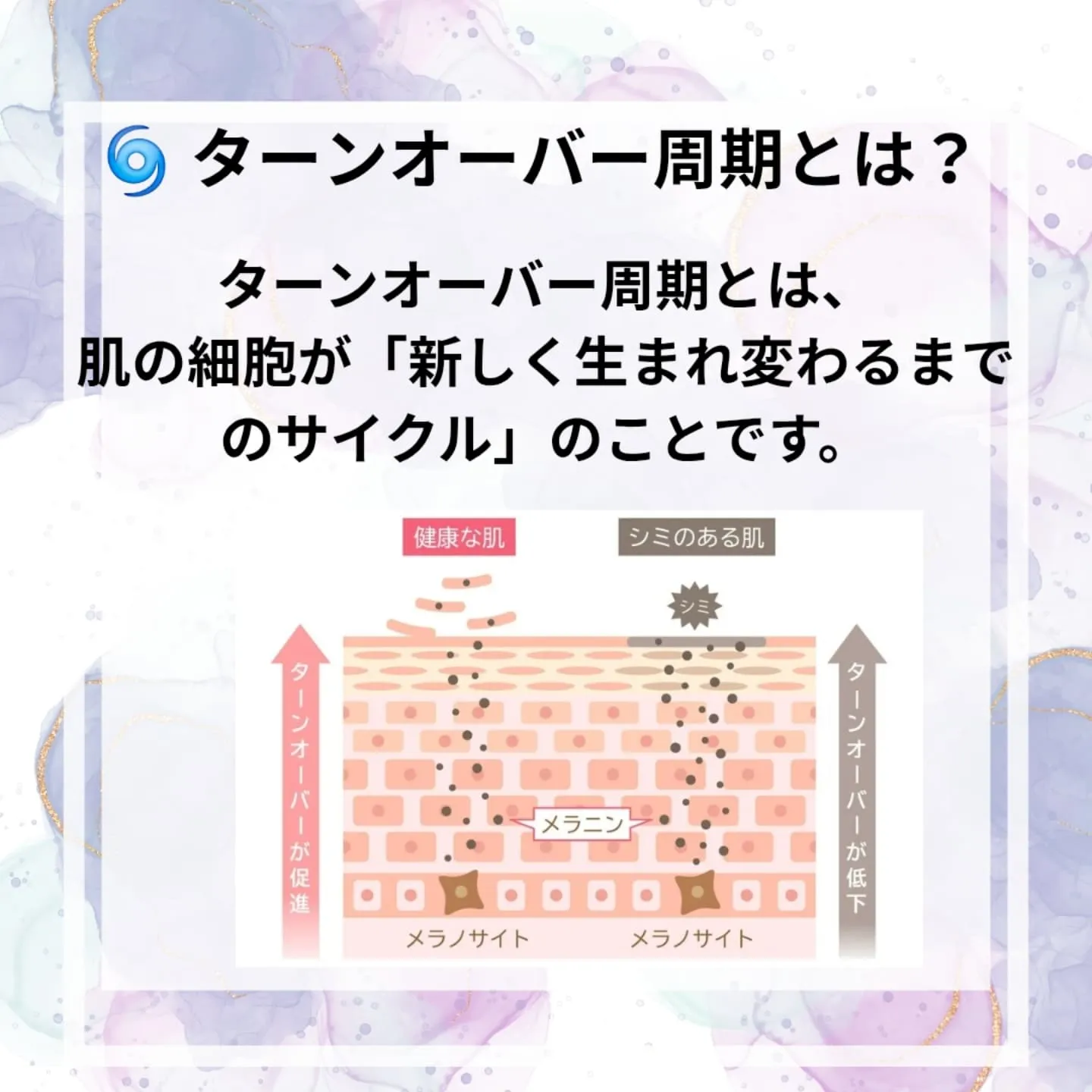 🔄 肌のターンオーバー周期って？